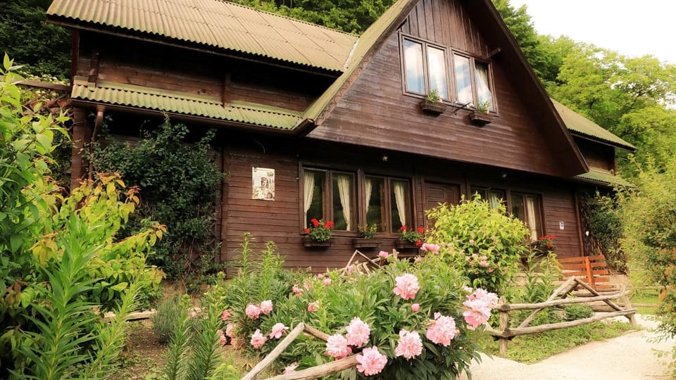 Pensiunea Dacica Bed and Breakfast in Romania