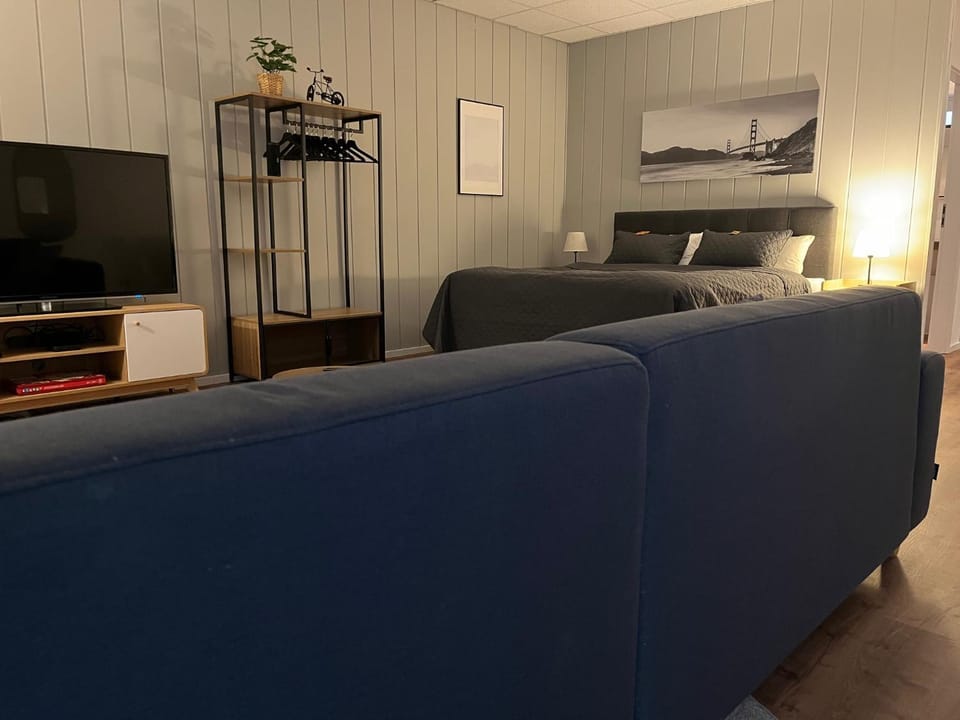 Photo of the whole room