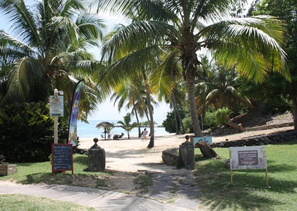 Natural landscape, Garden, Beach