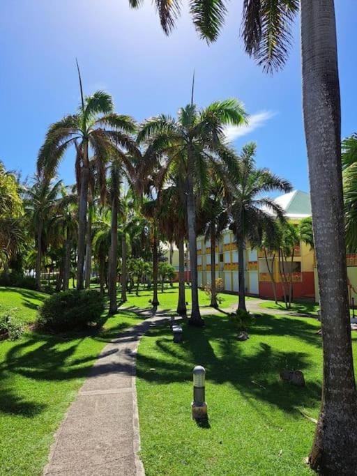 Natural landscape, Garden