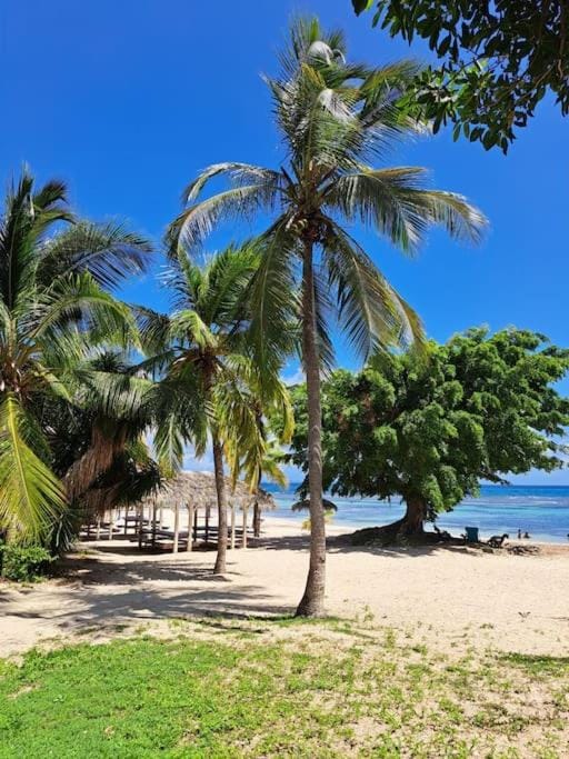 Natural landscape, Beach, Sea view