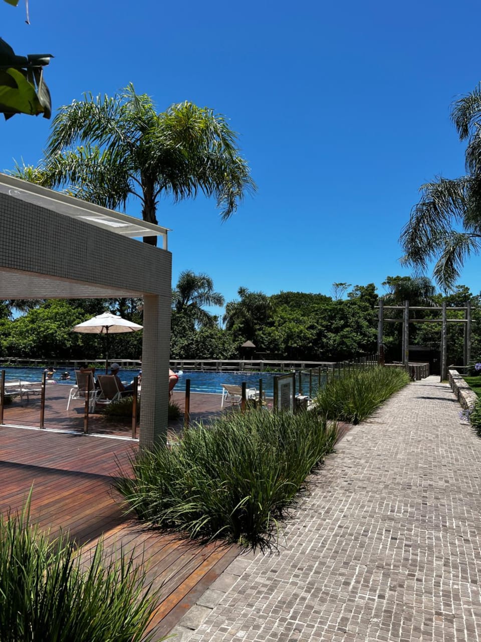Pool view, Swimming pool