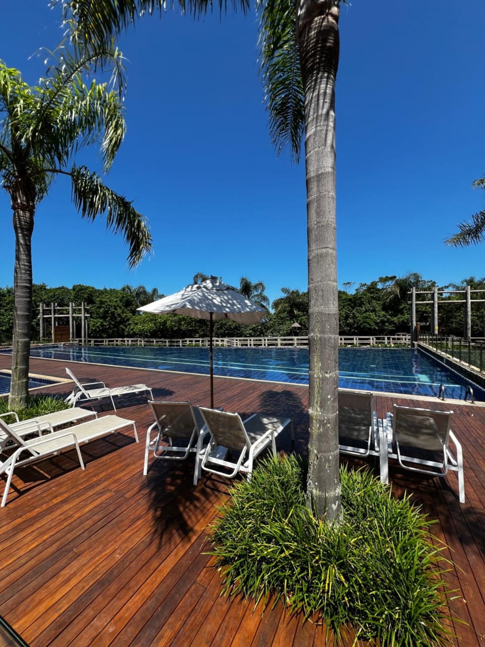 Pool view, Swimming pool, sunbed