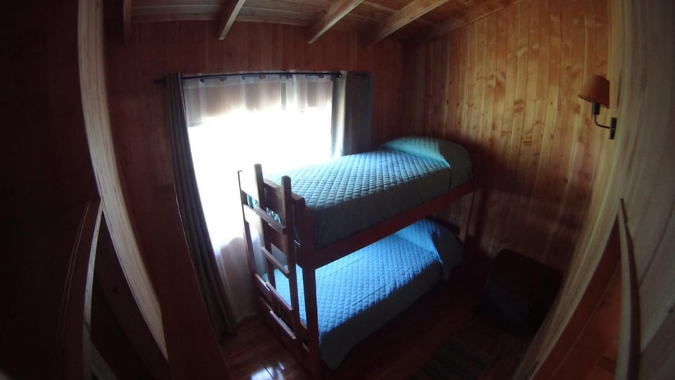 Bed, Photo of the whole room, Bedroom, bunk bed