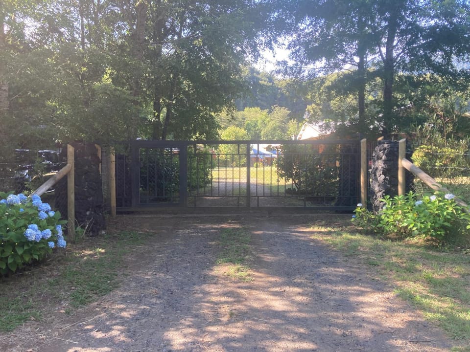 Day, Natural landscape, Garden view