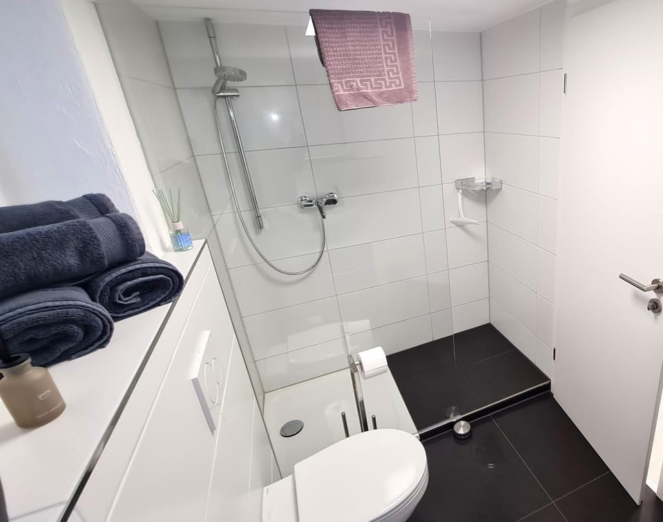 Shower, Toilet, Bathroom, towels