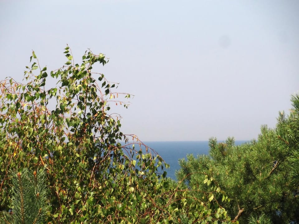 View (from property/room), Sea view