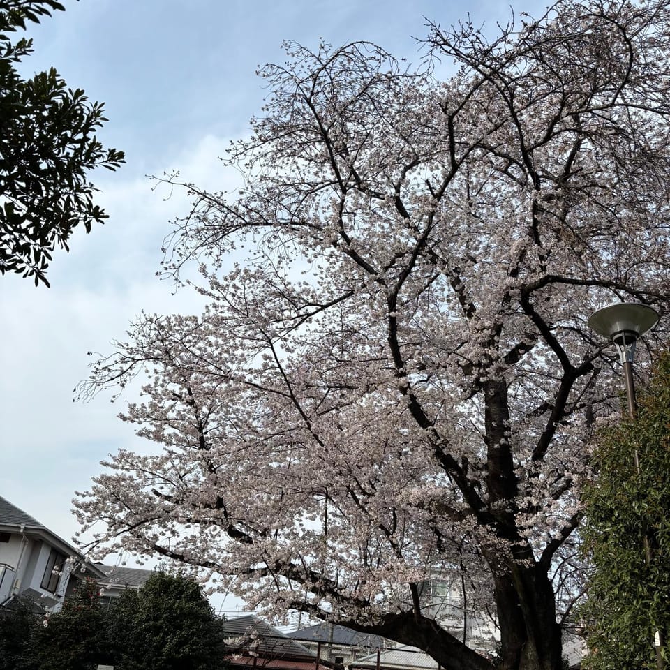 WOMEN ONLY 3F Apartment in Shinjuku