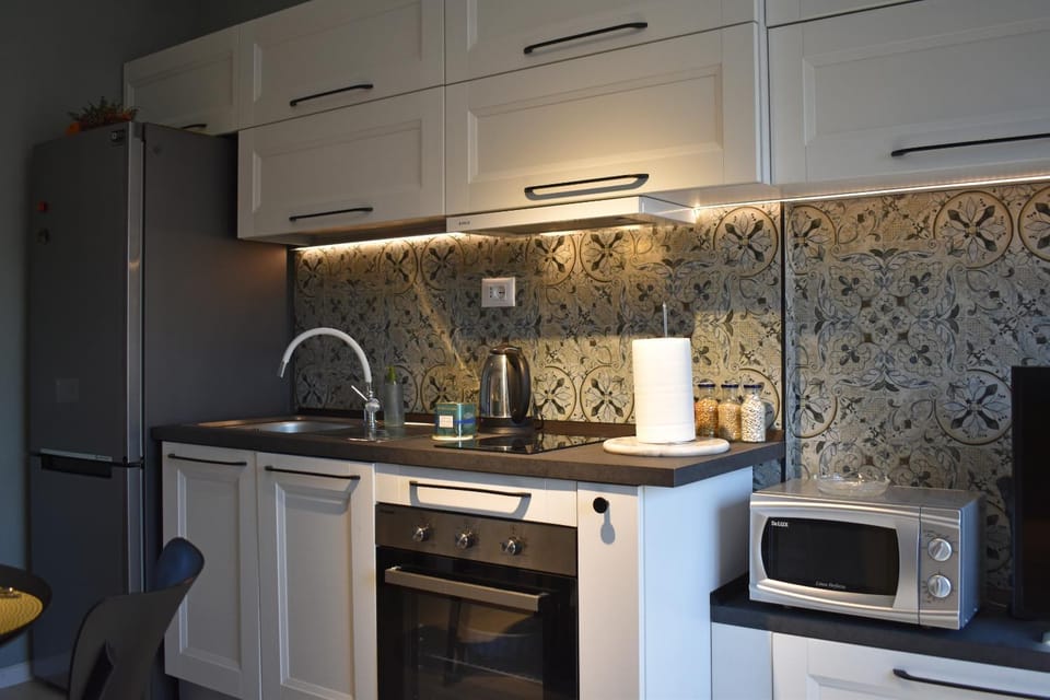 Kitchen or kitchenette, dishwasher, minibar, pet friendly, stove, kitchen