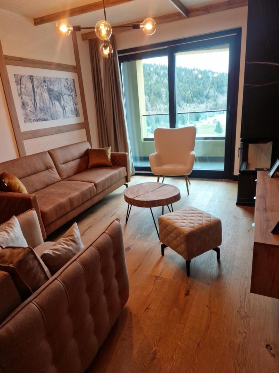 Apartmani Natural Bjelasnica Apartment in Federation of Bosnia and Herzegovina