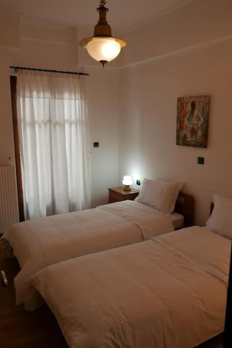 Aimilias House, Διαμέρισμα δυο υπνοδωματίων Apartment in Greece