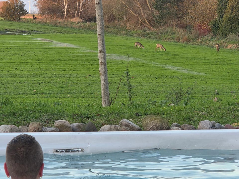 B & B Sauna Midwolda Bed and Breakfast in Drenthe (province)
