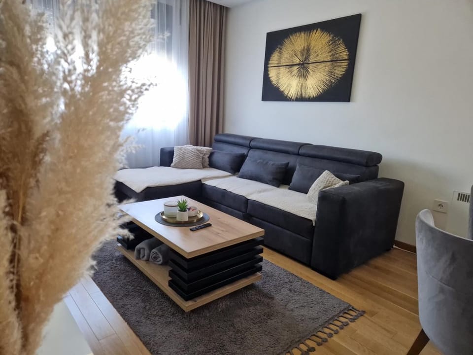 Relax Residence Zlatibor Free Parking Garage Apartment in Zlatibor
