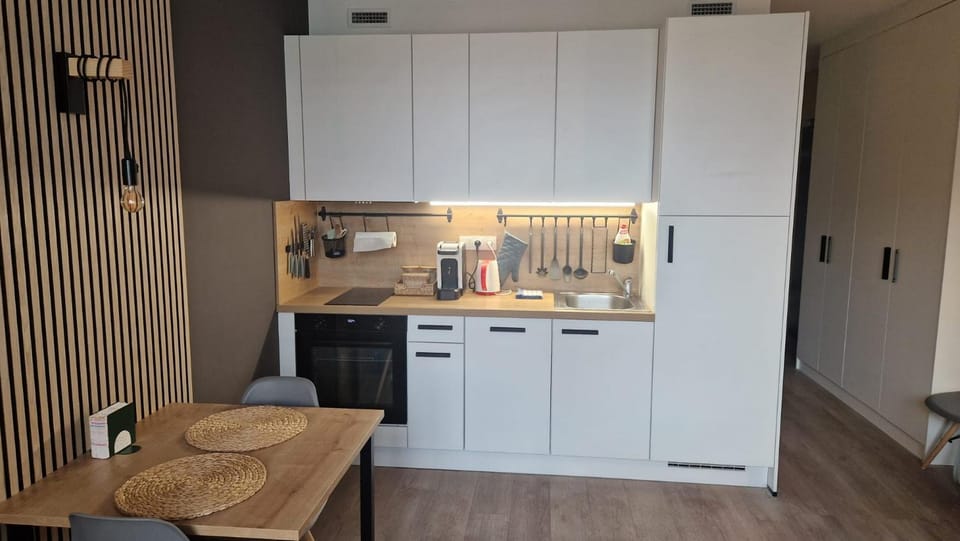 Prague City Center Apartment Apartment in Prague