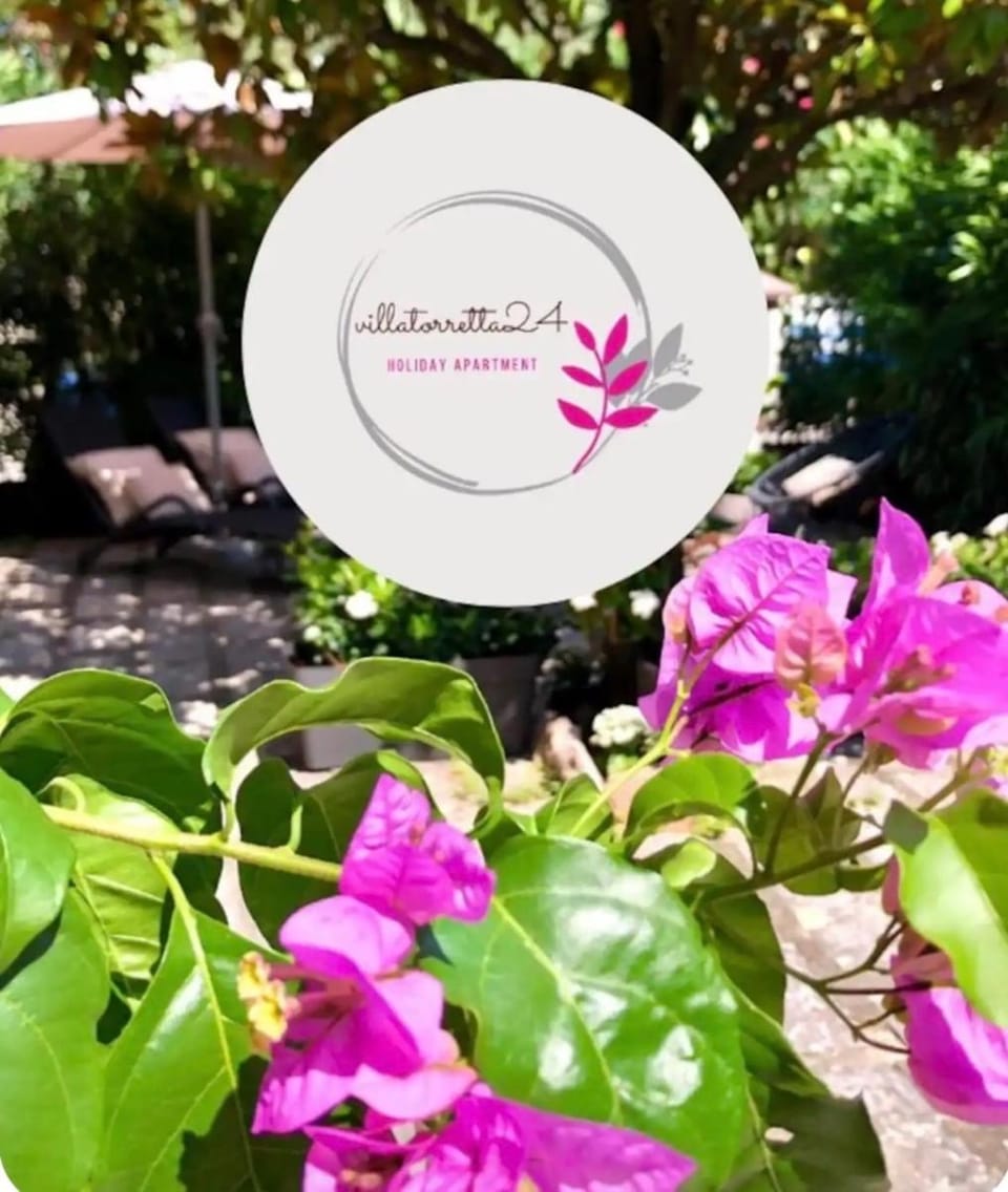 Spring, Day, Garden, Logo/Certificate/Sign, Garden view