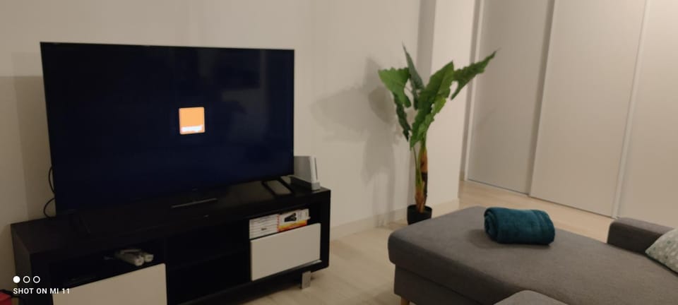 TV and multimedia, Living room