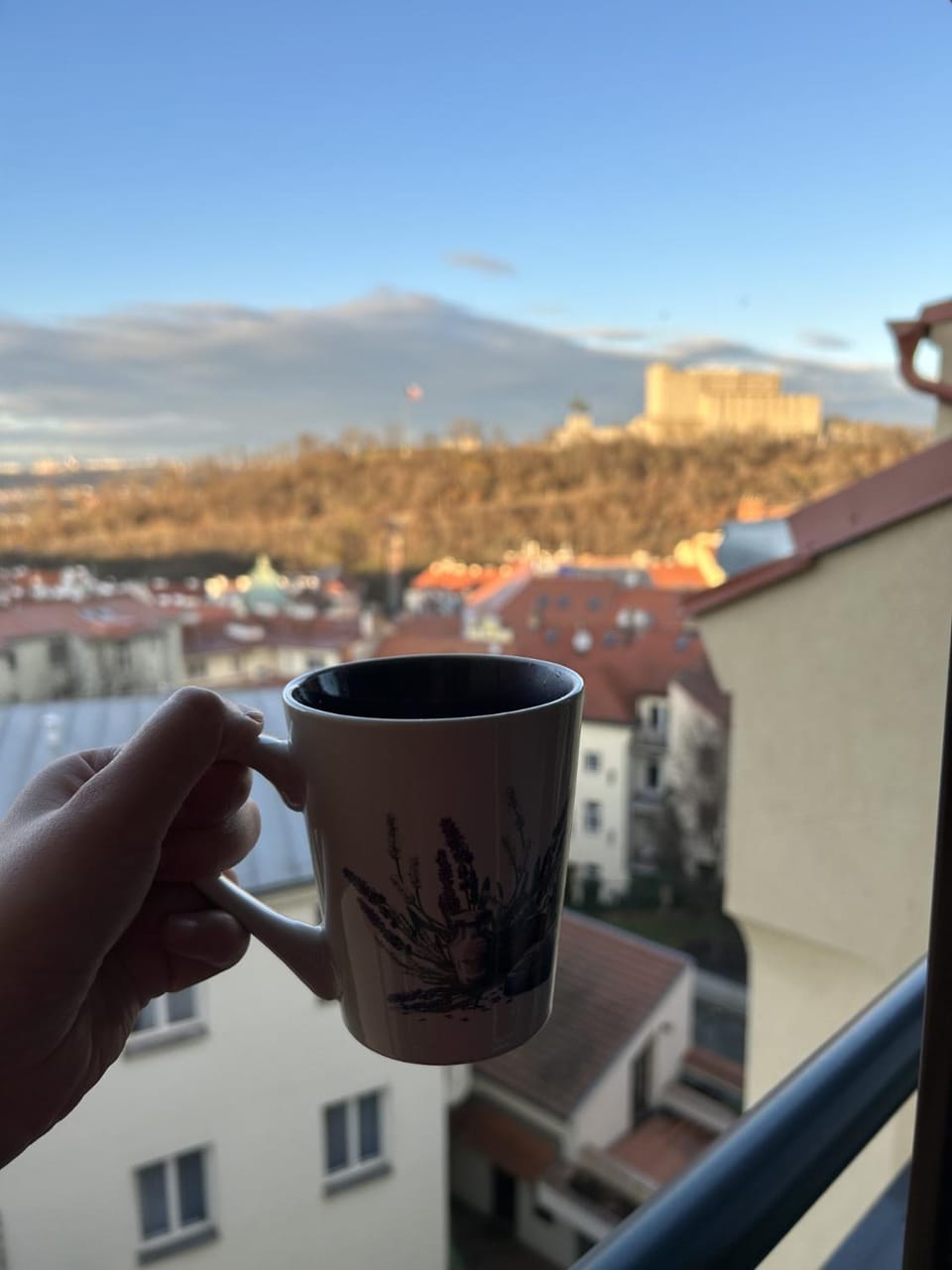 View (from property/room), City view