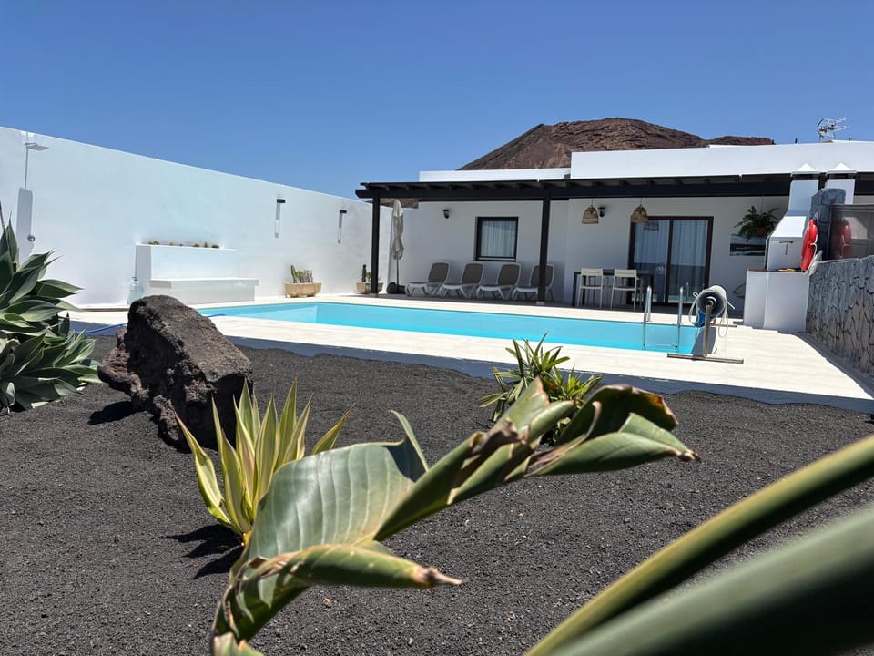 Garden, Swimming pool, sunbed