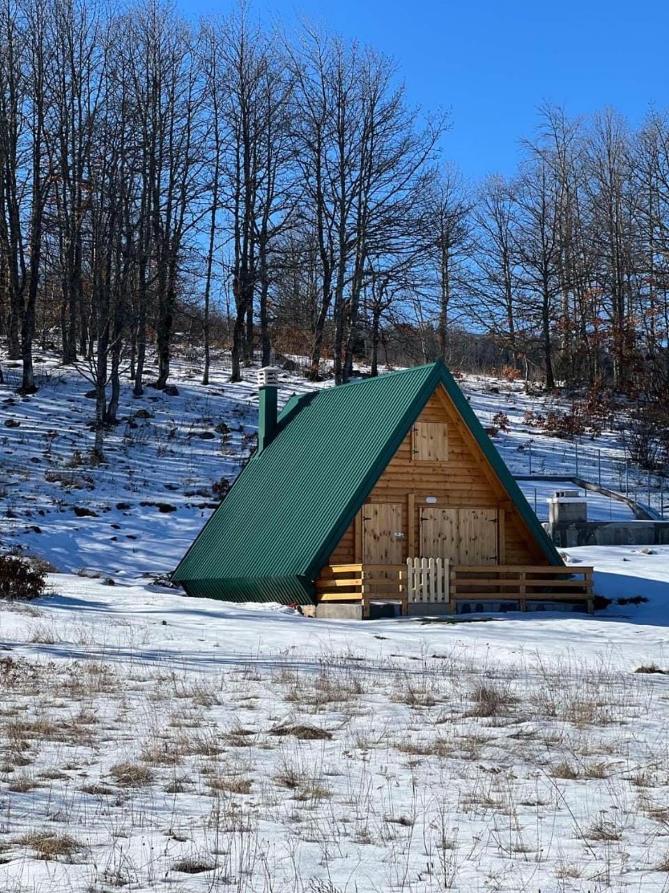 Forest rest Chalet in Montenegro