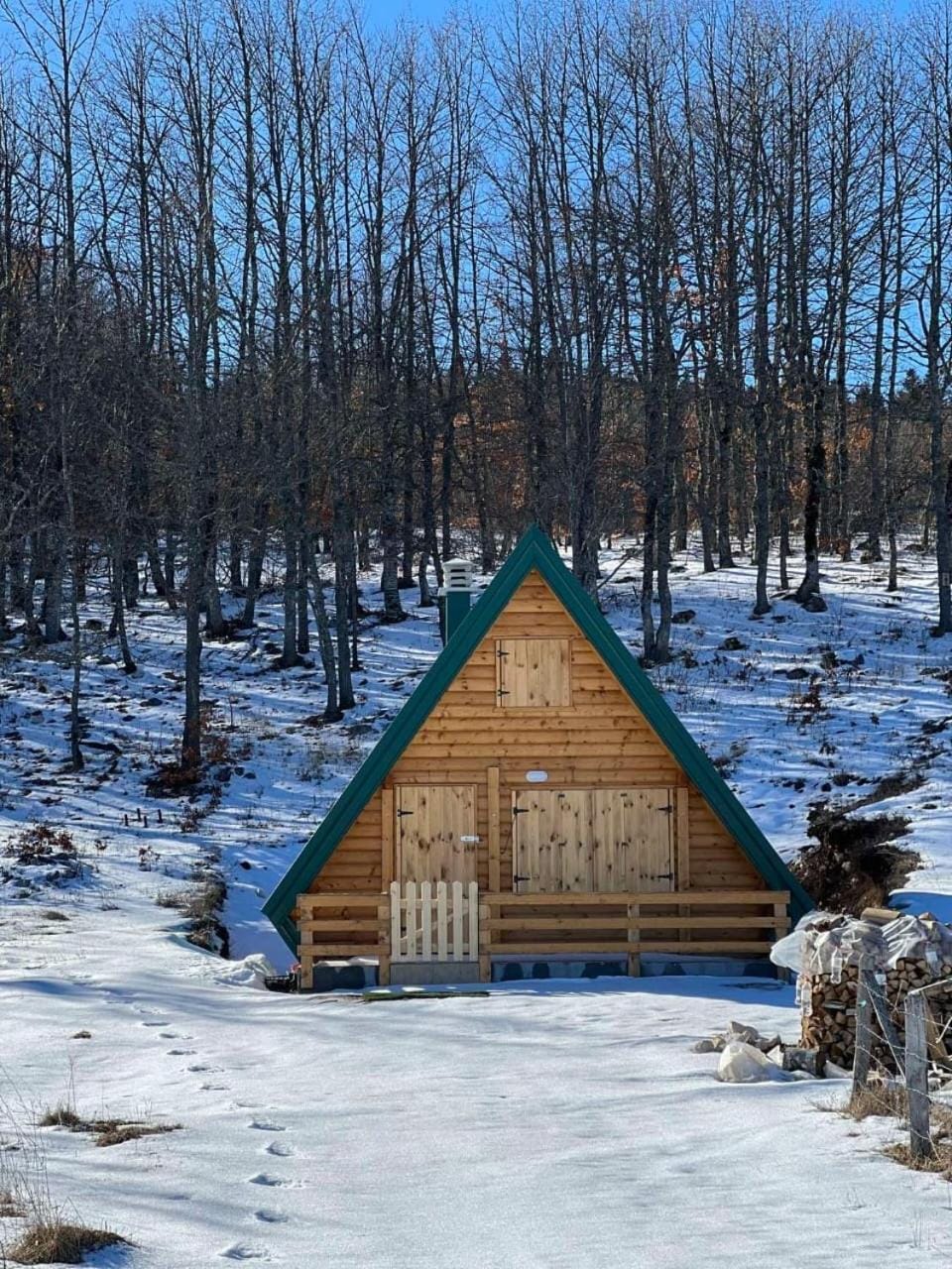 Forest rest Chalet in Montenegro