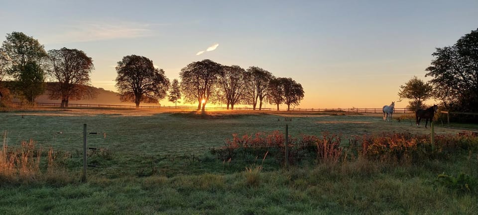 Natural landscape, Sunrise