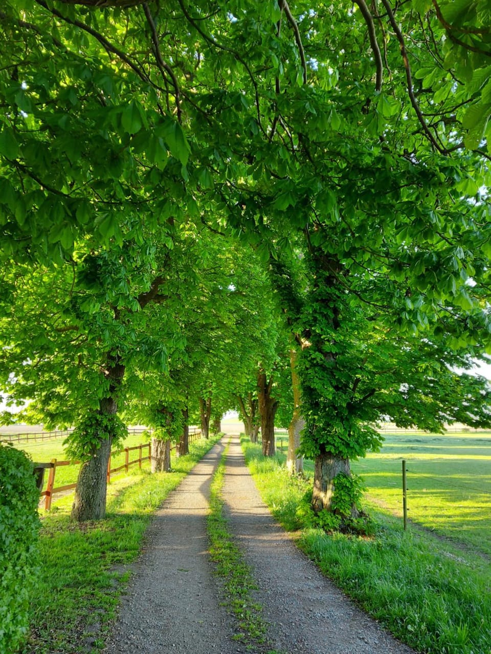 Natural landscape