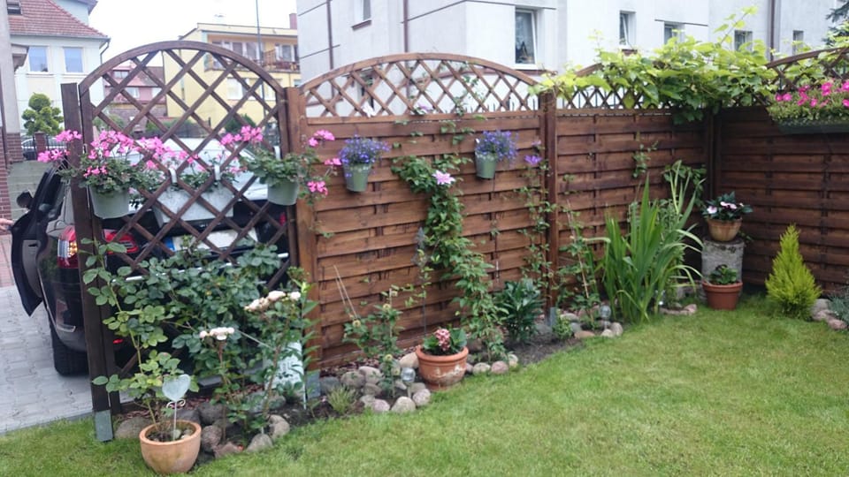 Garden, Garden view, Area and facilities
