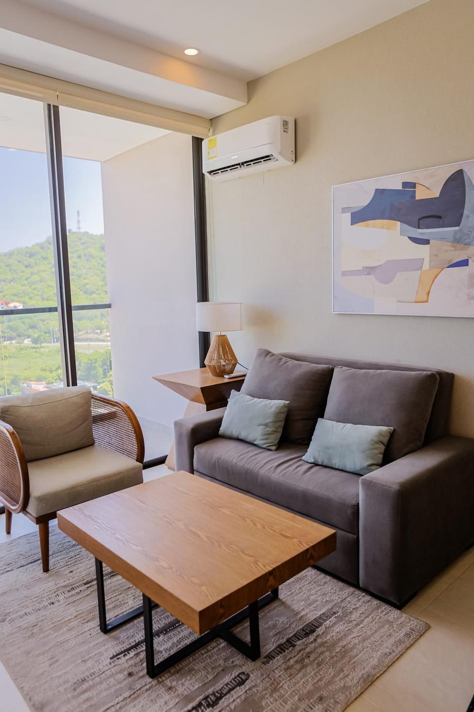 Living room, air conditioner