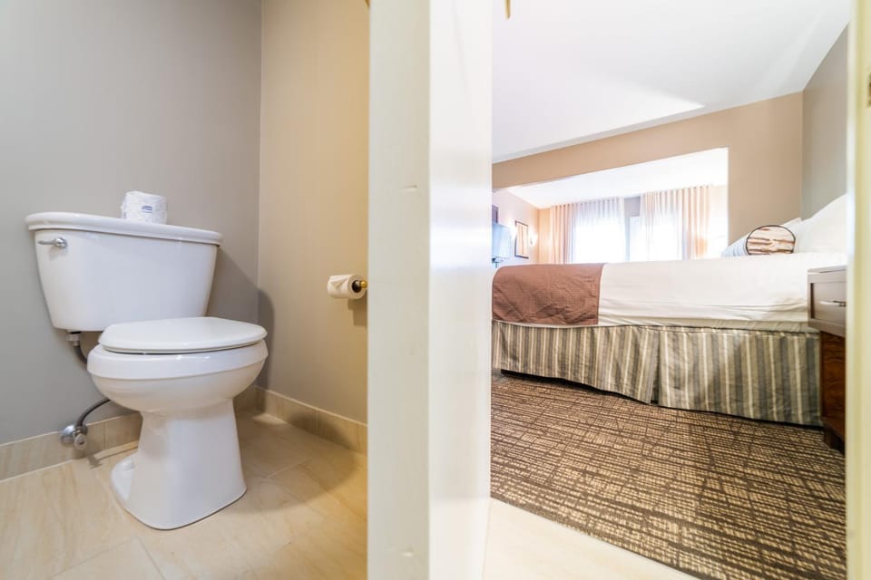 Toilet, Bathroom