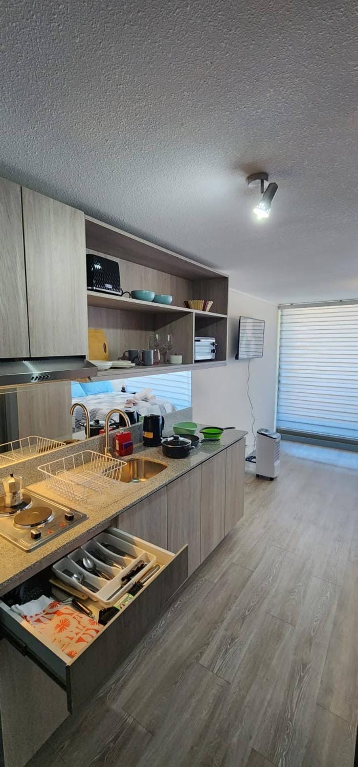 Hermoso Depto En Casco Histrico Apartment in Santiago