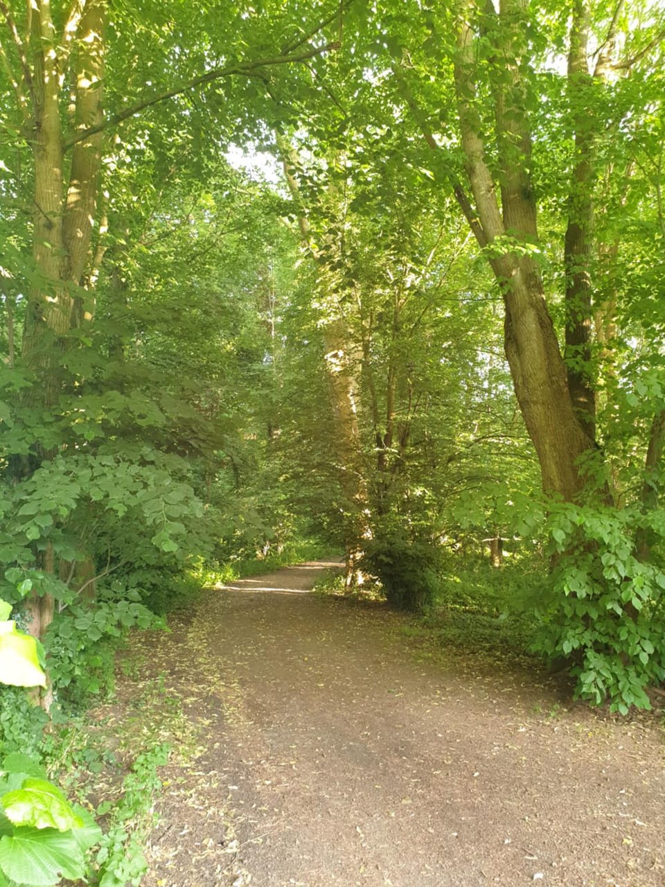 Natural landscape, Garden view