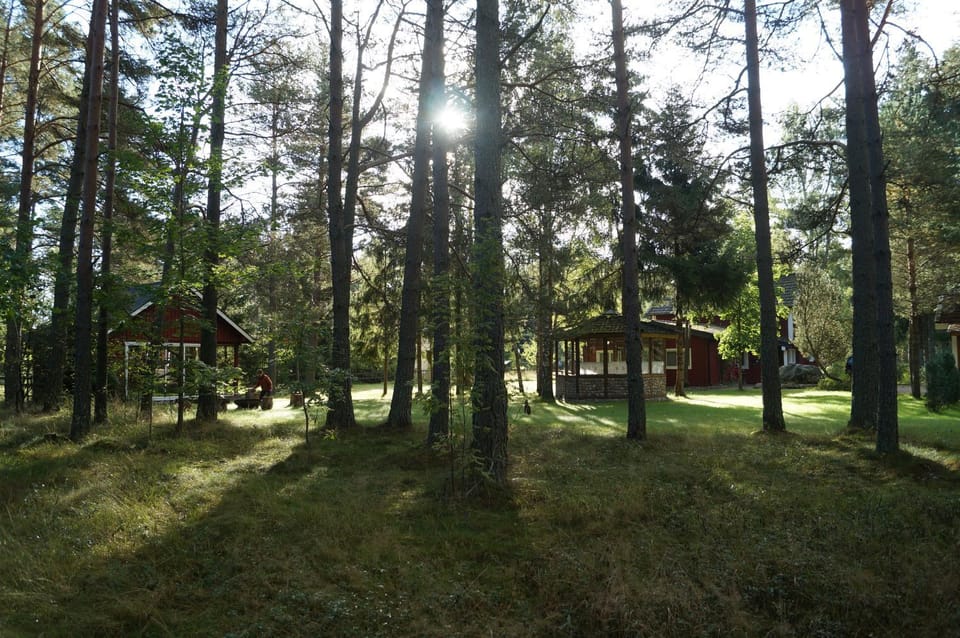 Natural landscape, Garden