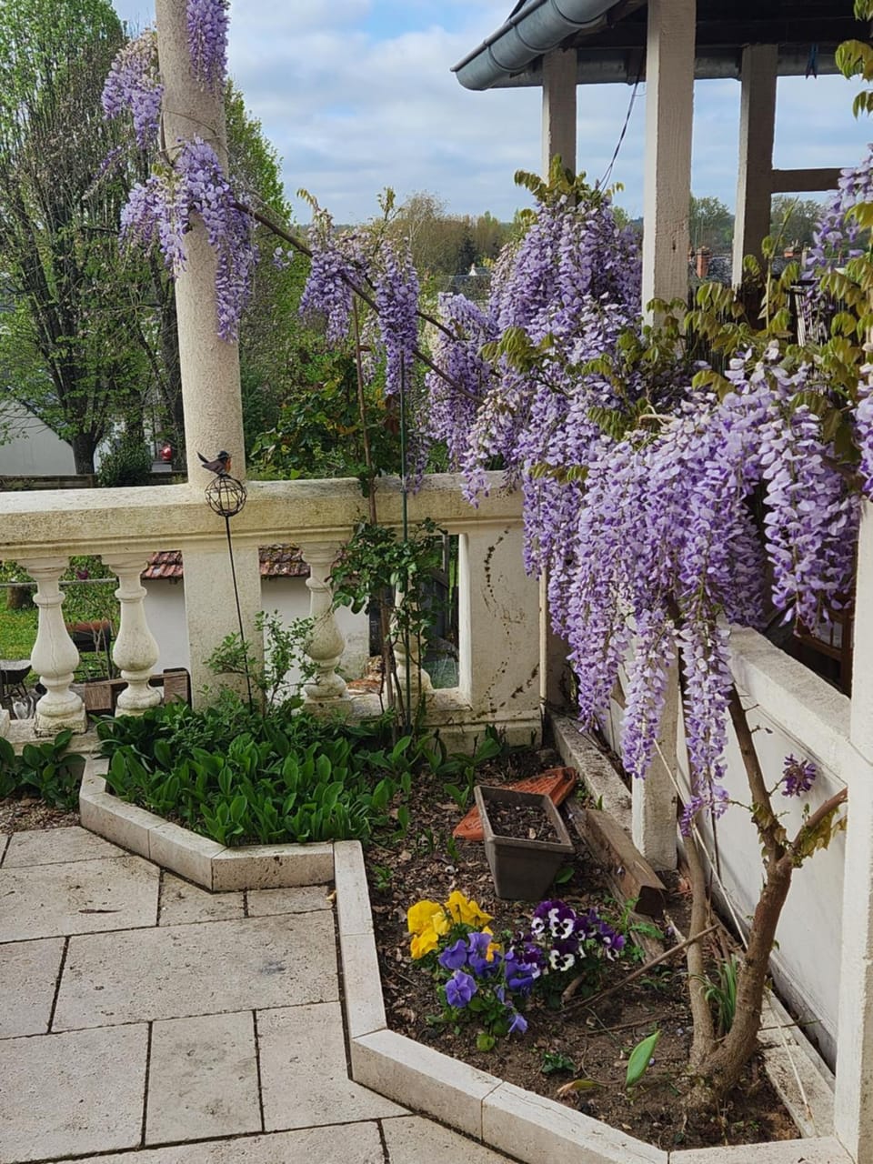 Les Chambres du Faubourg Bed and Breakfast in Centre-Val de Loire