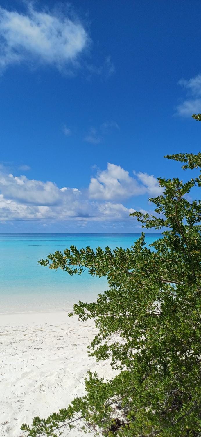 Nikabliss Dhigurah Bed and Breakfast in Maldives
