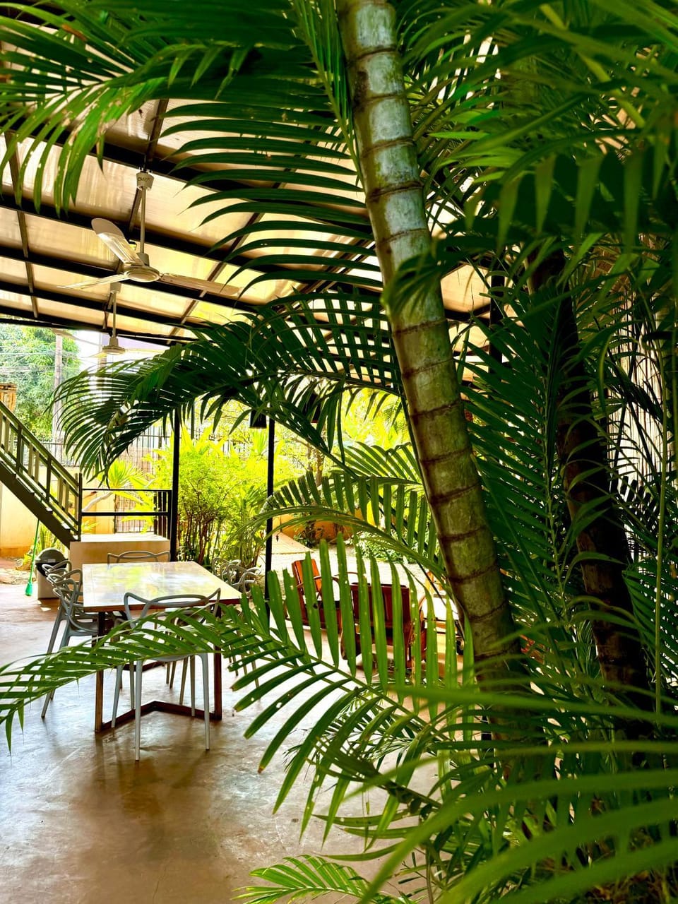 Day, Natural landscape, Garden, Garden view