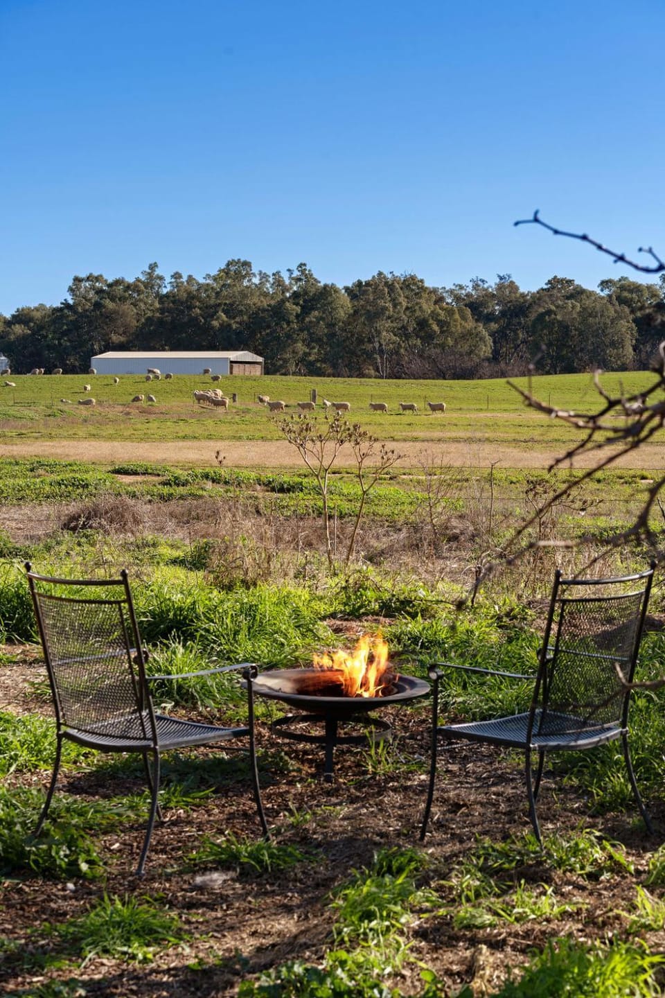 Starry Night Farmstay by Tiny Away House in Forbes