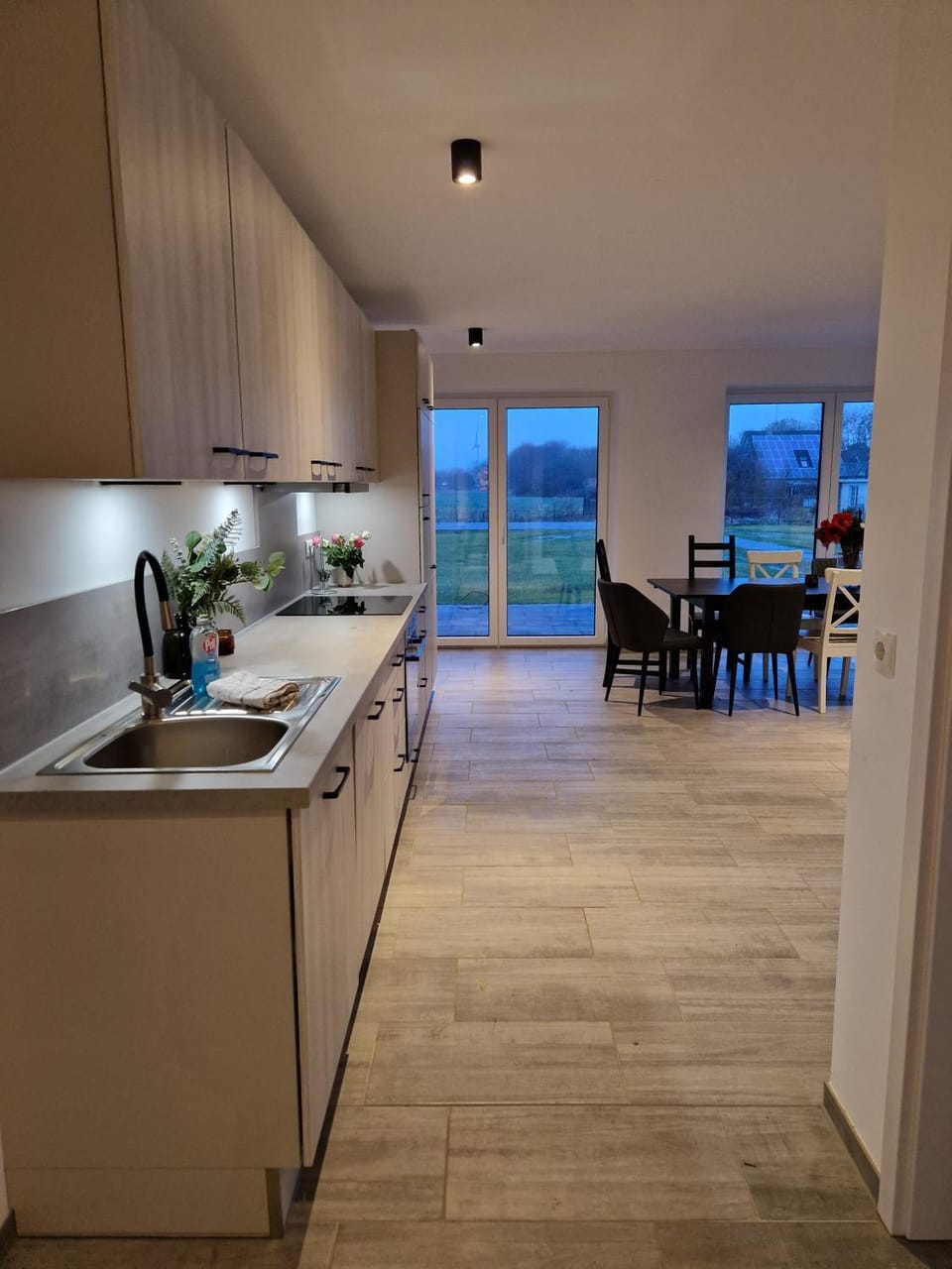 Kitchen or kitchenette, Living room