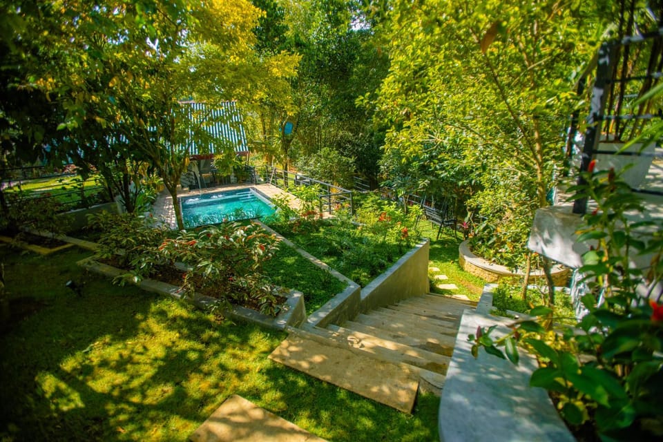 Natural landscape, Garden view, Swimming pool, Swimming pool