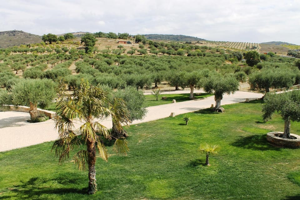 Day, Garden, View (from property/room)