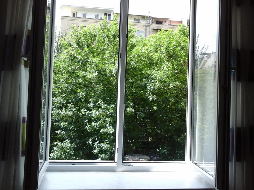 City view, Street view