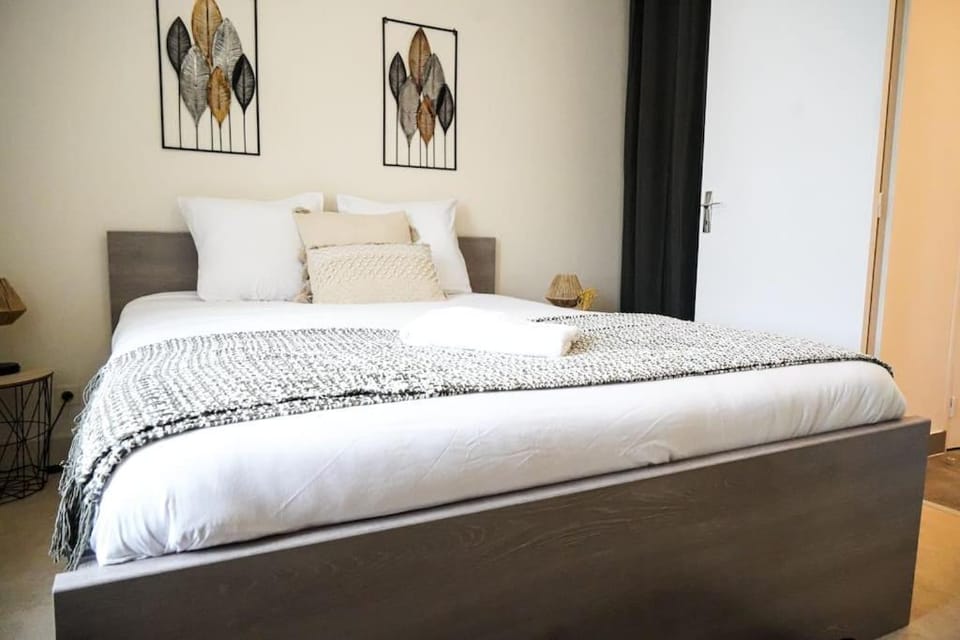 Le Raspail • Pour un séjour confortable • Fibre Apartment in Centre-Val de Loire