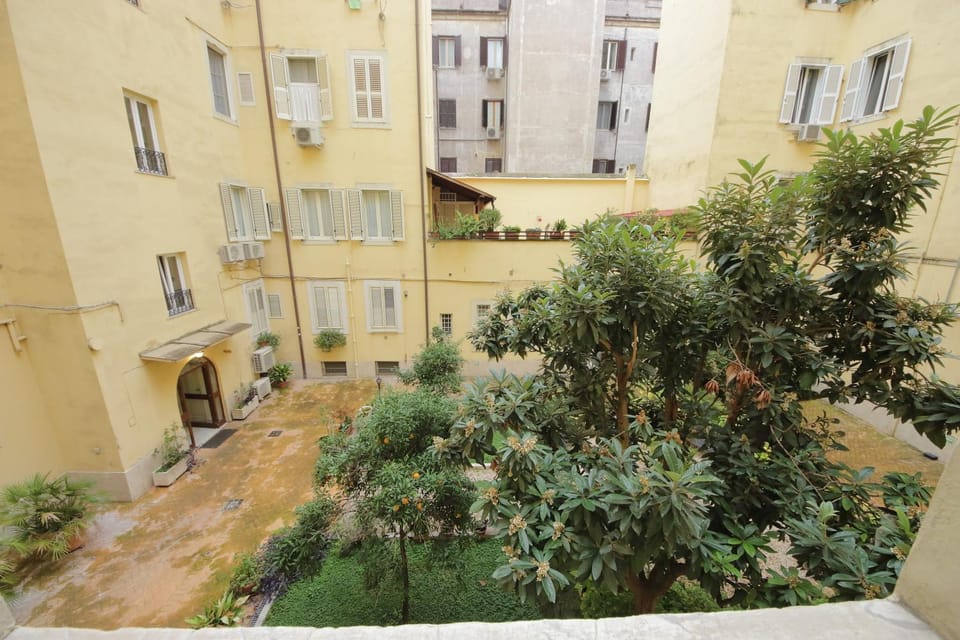 Property building, Garden view