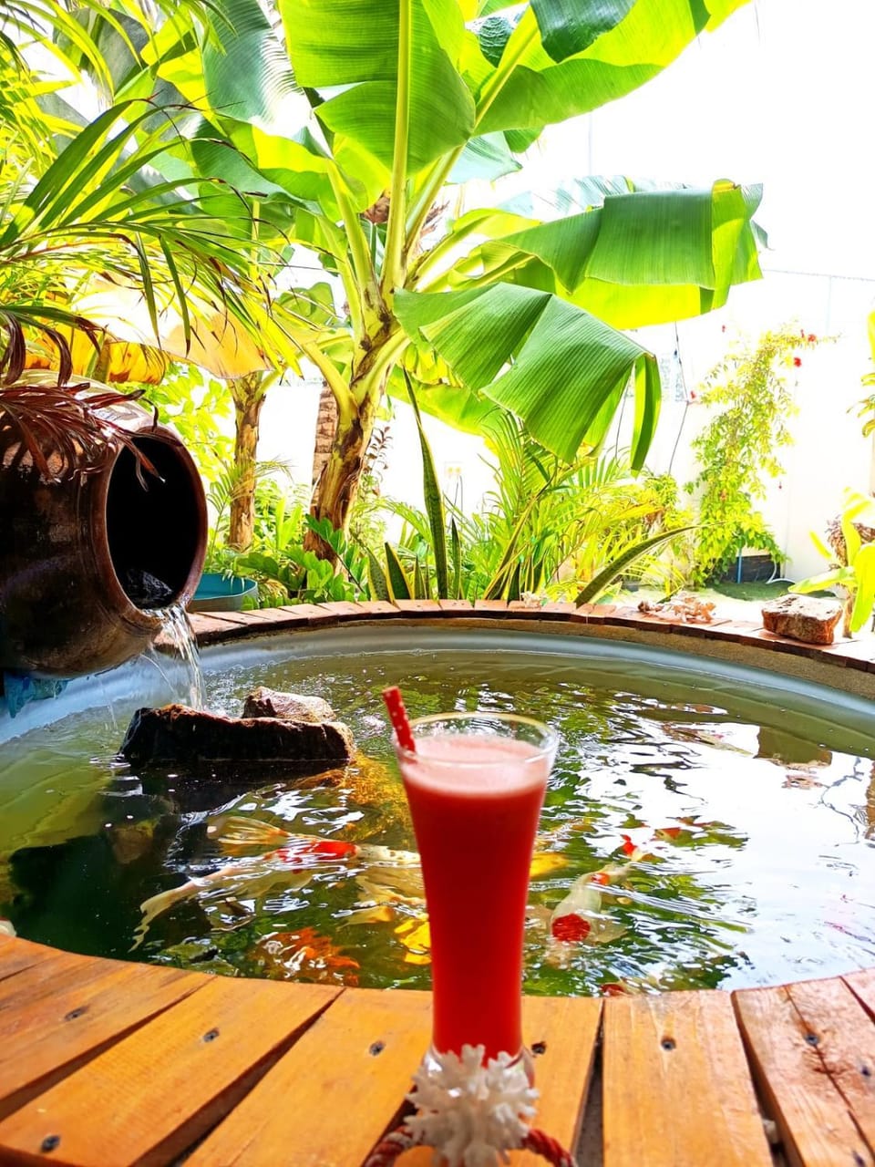Vegas Thoddoo Maldives Bed and Breakfast in Maldives