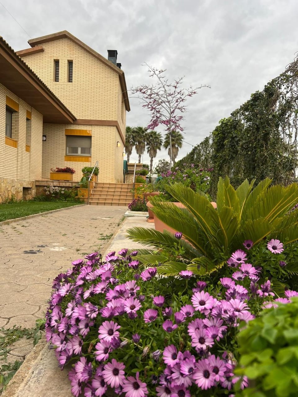 Facade/entrance, Off site