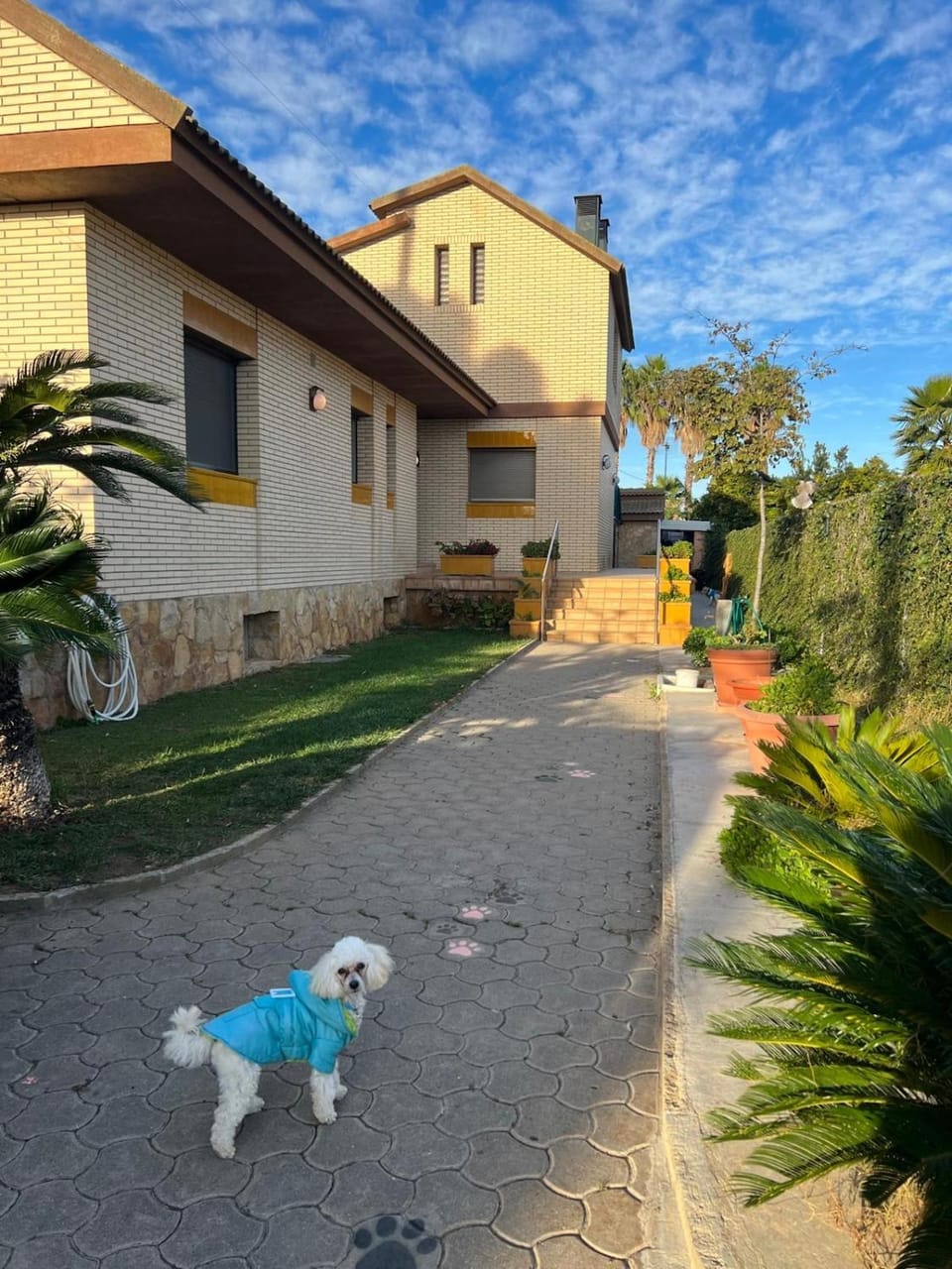 Property building, Natural landscape, Garden, Pets, Garden view
