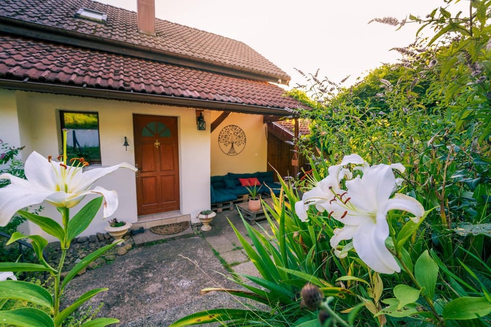 Home - Retour aux sources House in Vosges