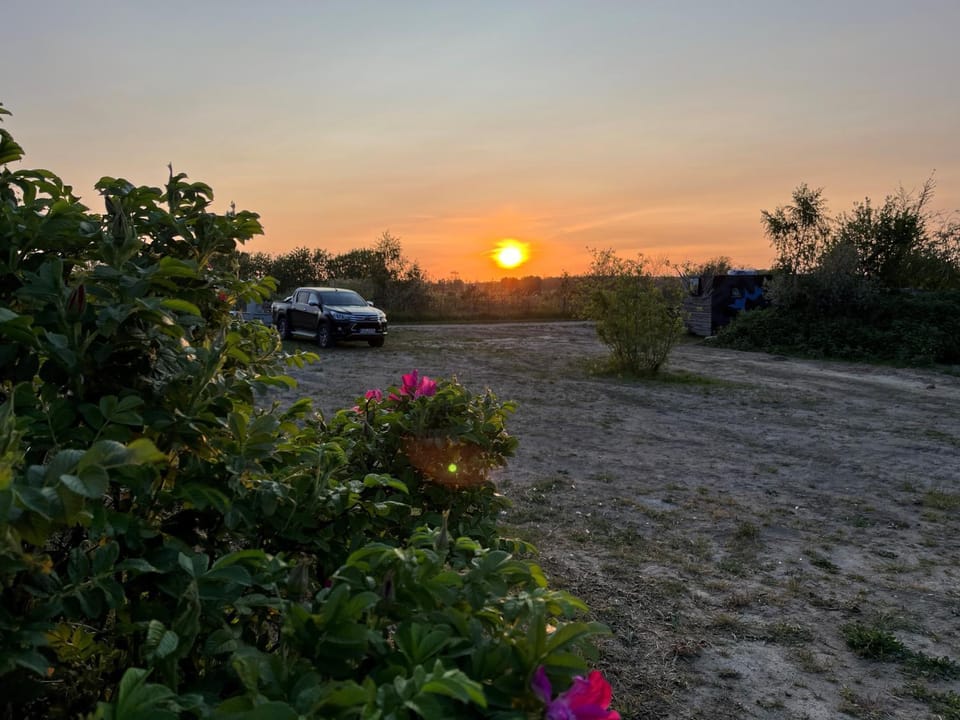 Natural landscape, Garden view, Sunset