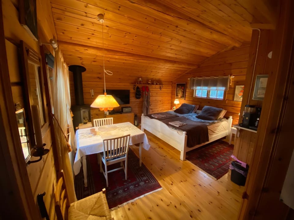 Bed, Photo of the whole room, Dining area