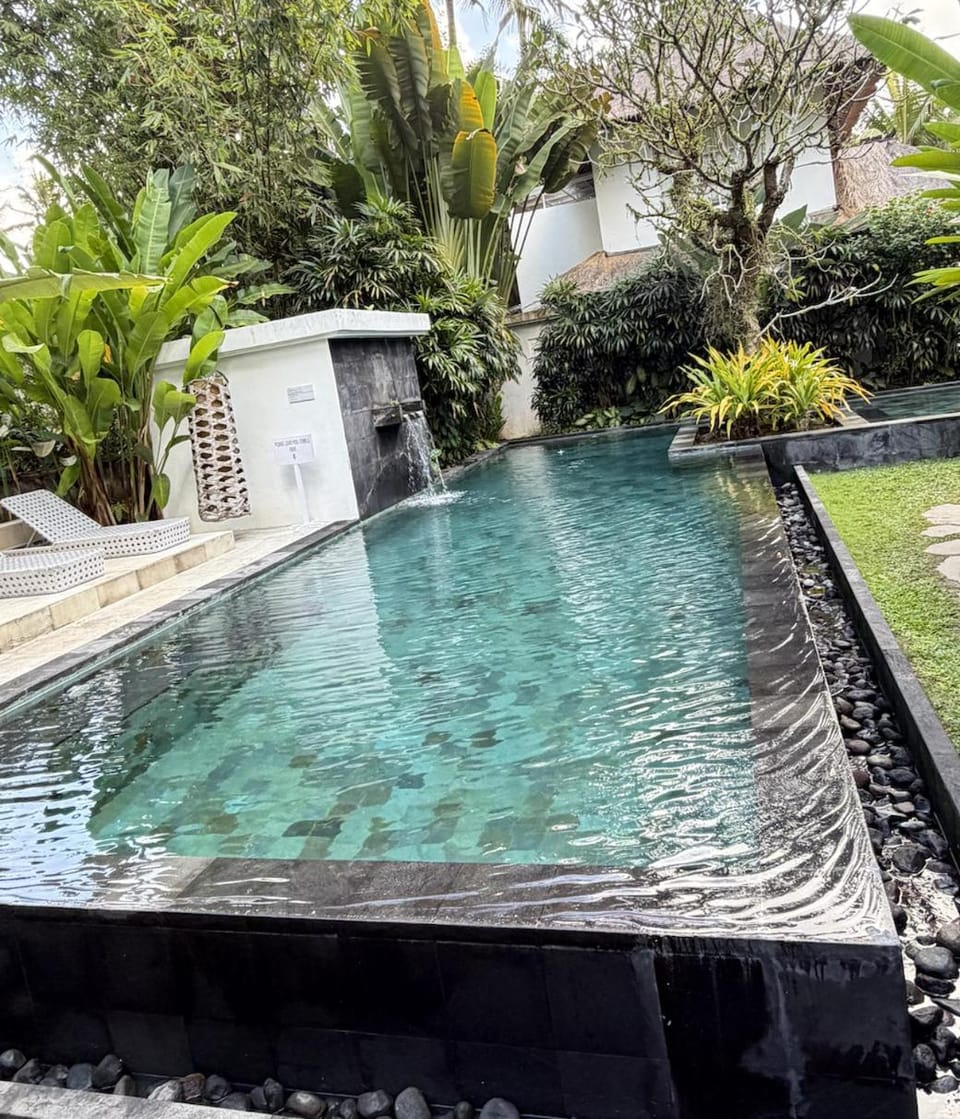 Swimming pool, Swimming pool