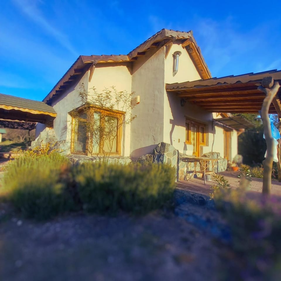 Property building, Day, Garden